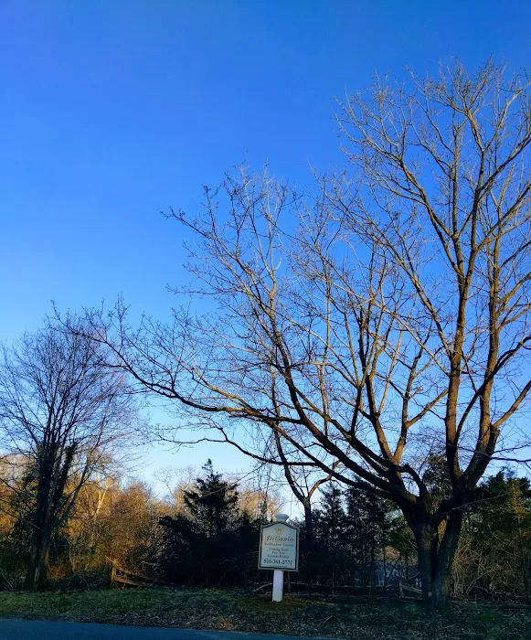 Suffolk County Park Picture 2