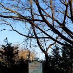 Suffolk County Park