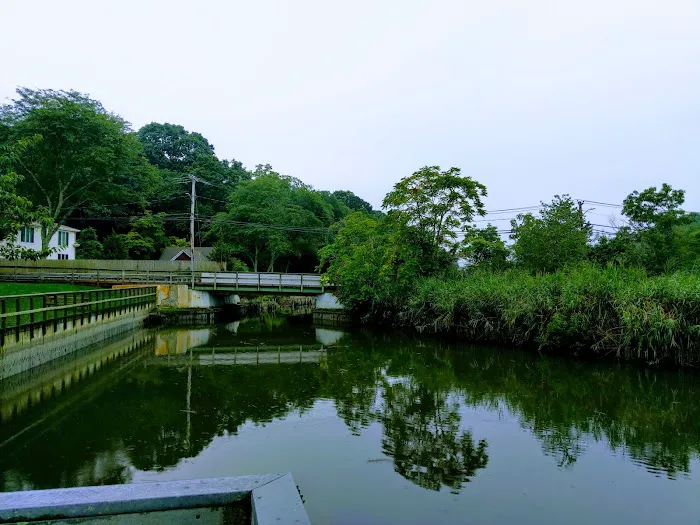 Landing Avenue Park Picture 1