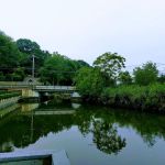 Landing Avenue Park