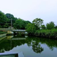 Landing Avenue Park ico