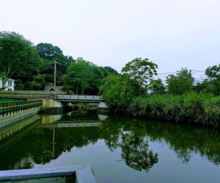 Landing Avenue Park