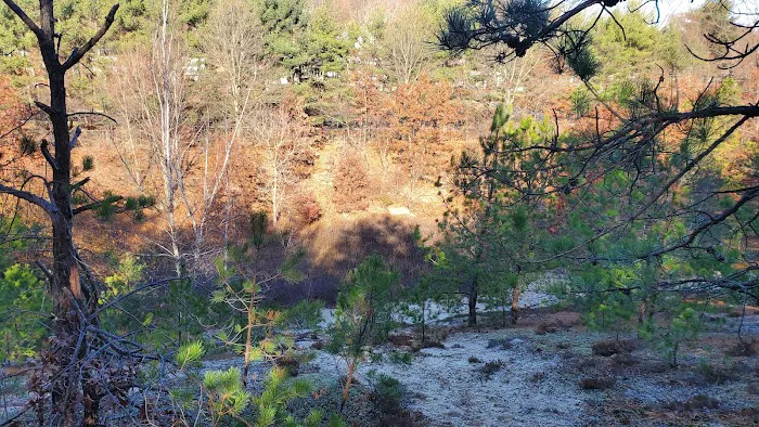 Morewood Park Picture 7