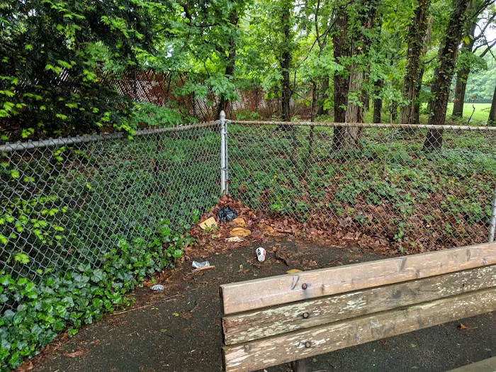 Morewood Park Picture 10