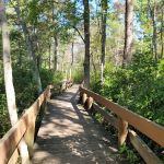 Lakeland County Park