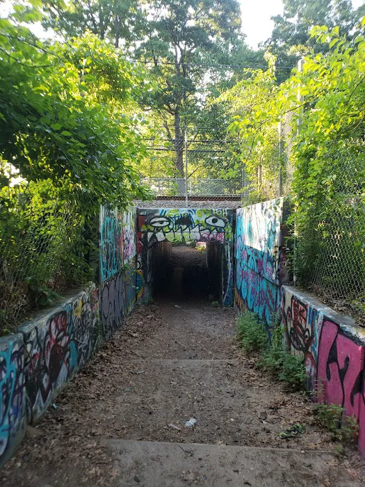 Lakeland County Park Picture 9