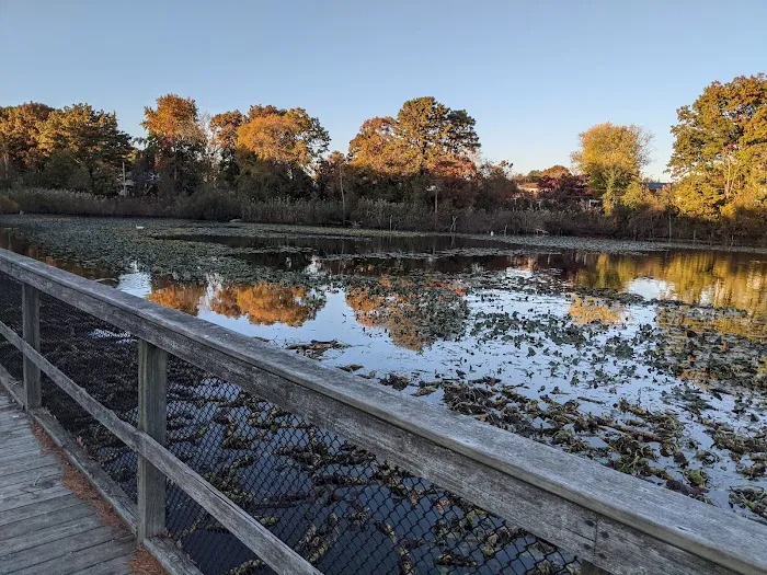 Andreoli Park Picture 4