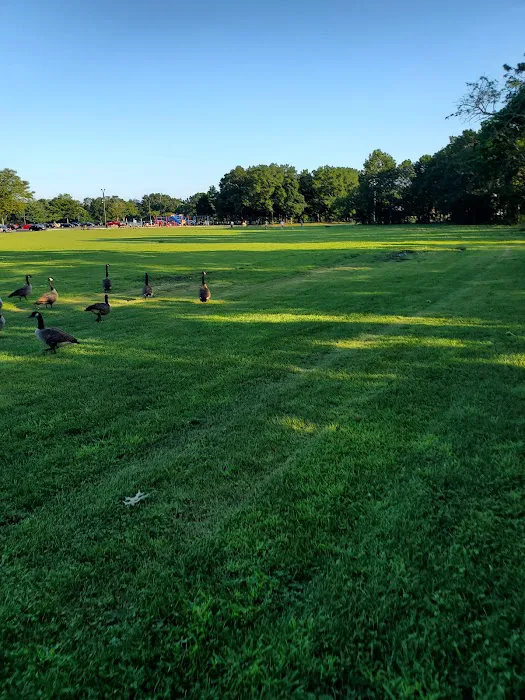 Roberto Clemente PARK Picture 1