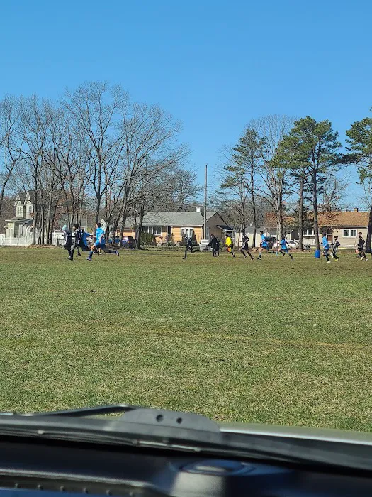Roberto Clemente PARK Picture 3