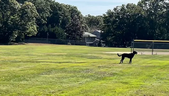 Whitman Hollow Park Picture 10