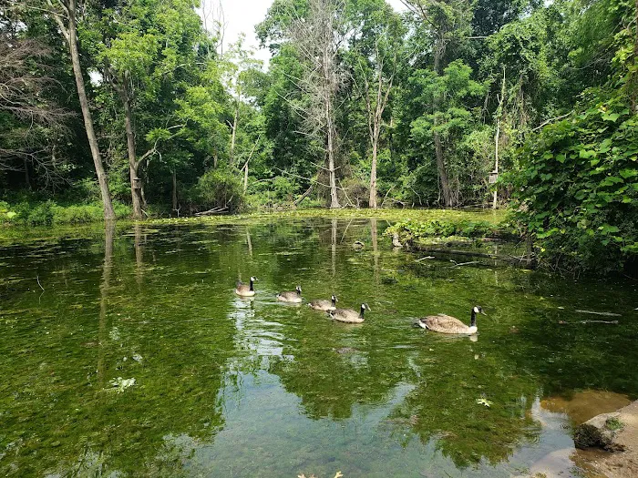 Hoyt Farm Nature Preserve Picture 10