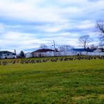 Burr-Winkle Park