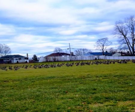 Burr-Winkle Park
