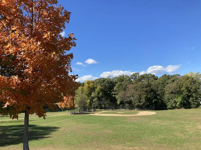 Sunshine Park Picture 3