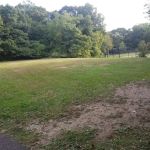 Sunshine Park