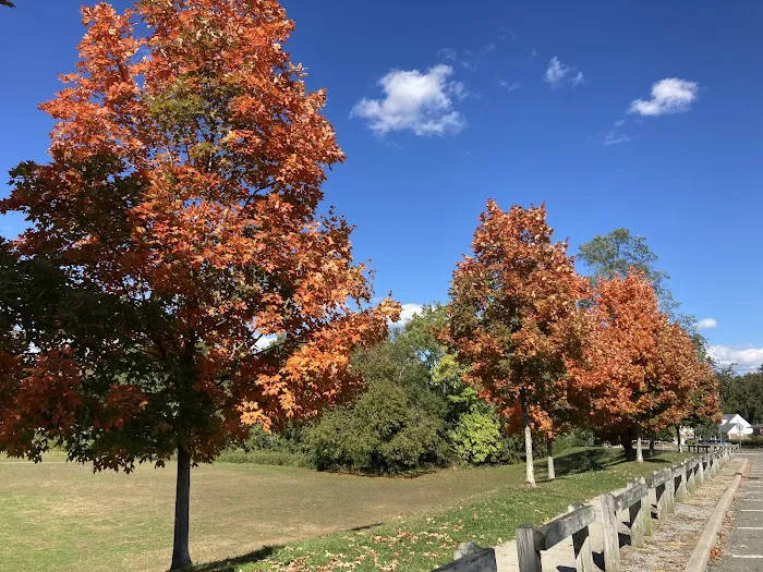 Sunshine Park Picture 4