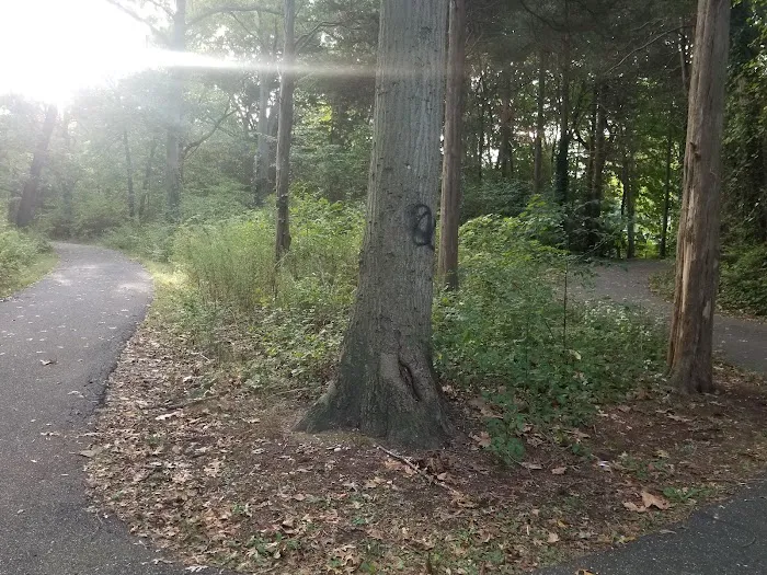 Sunshine Park Picture 9