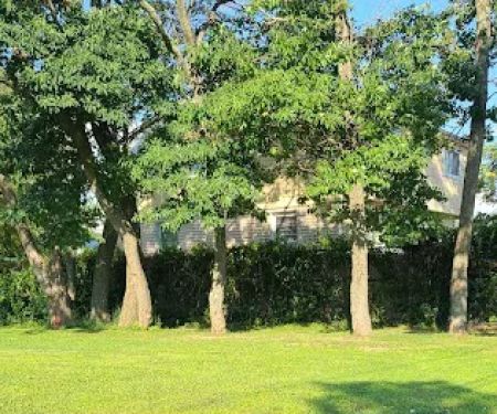 Vazquez Park