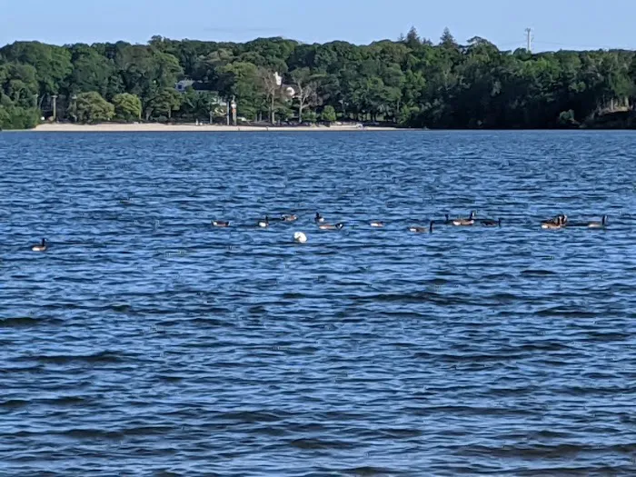 Lake Ronkonkoma County Park Home of Syag Sports Picture 4