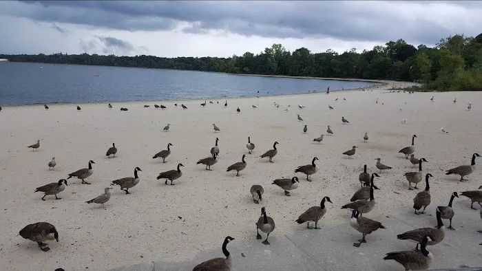 Lake Ronkonkoma County Park Home of Syag Sports Picture 9