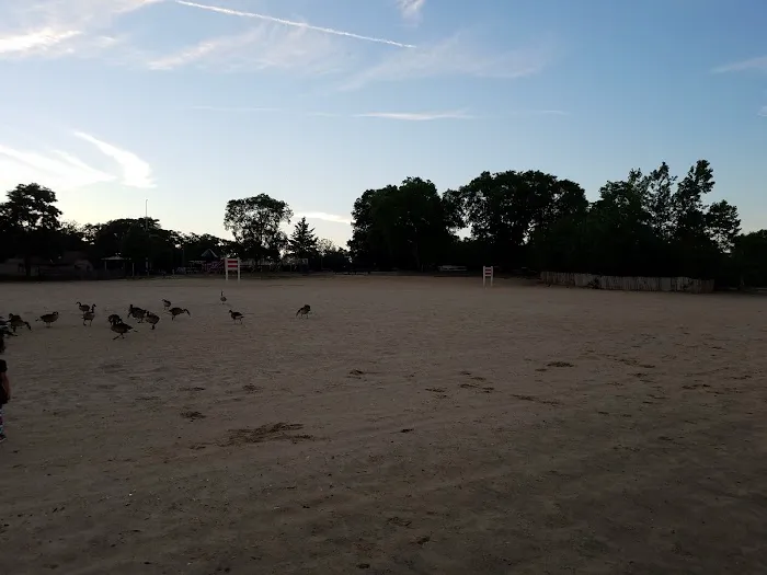 Lake Ronkonkoma County Park Home of Syag Sports Picture 10