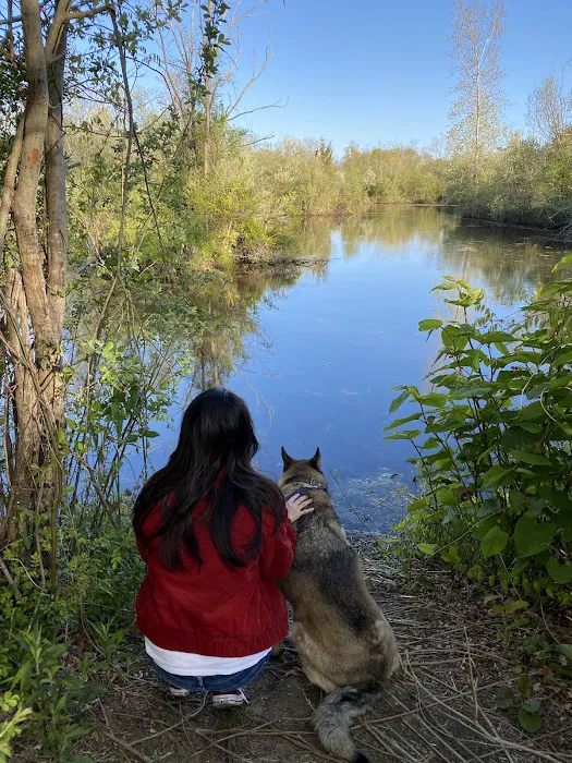 Lily Pond County Park Picture 2