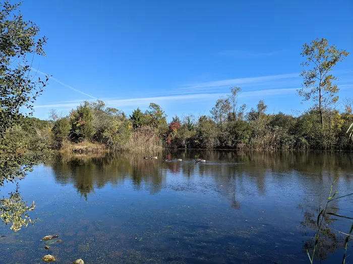 Lily Pond County Park Picture 1