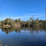 Lily Pond County Park