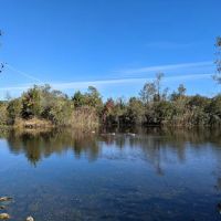 Lily Pond County Park ico