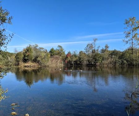Lily Pond County Park