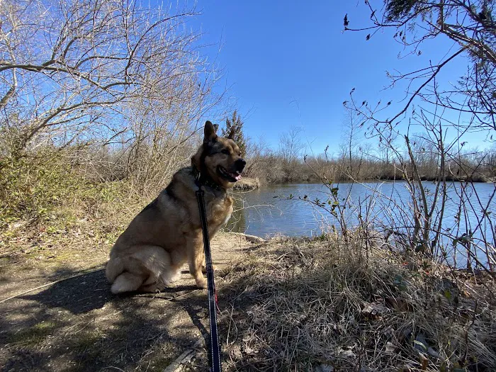 Lily Pond County Park Picture 4