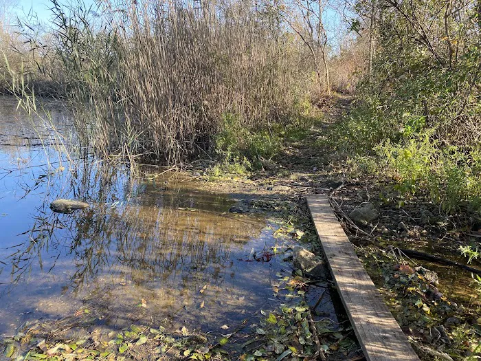 Lily Pond County Park Picture 6