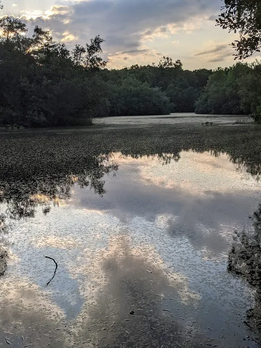 Walter S. Commerdinger, Jr. County Park 0