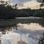 Walter S. Commerdinger, Jr. County Park