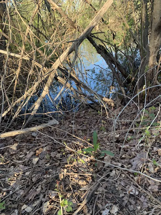 Walter S. Commerdinger, Jr. County Park 1