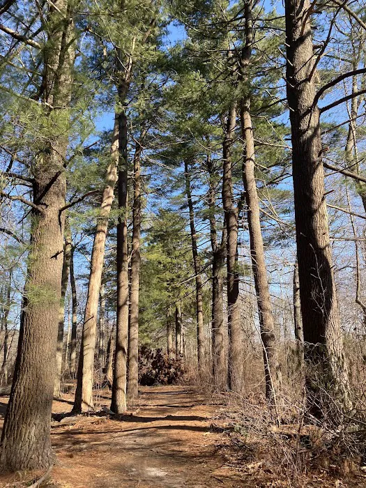 Walter S. Commerdinger, Jr. County Park 4