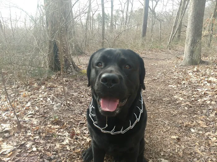 Walter S. Commerdinger, Jr. County Park 9