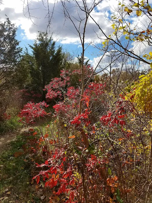 Walter S. Commerdinger, Jr. County Park 8
