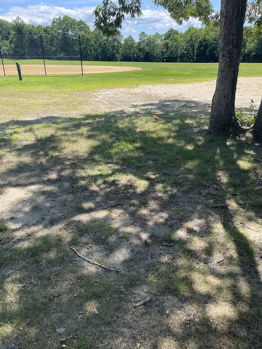 Gaynor Park 5