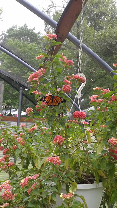 Sweetbriar Nature Center 7