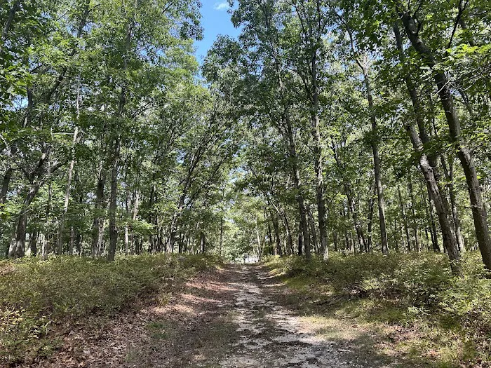 Connetqout River State Park hike trail entrance Picture 1