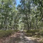 Connetqout River State Park hike trail entrance