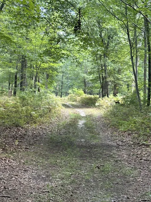 Connetqout River State Park hike trail entrance Picture 4