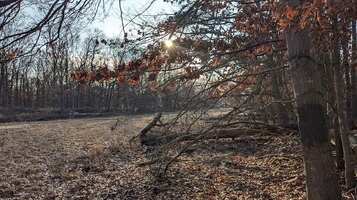 Connetqout River State Park hike trail entrance Picture 9