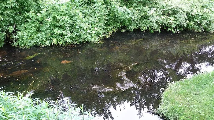 Beaver Dam Park Picture 6