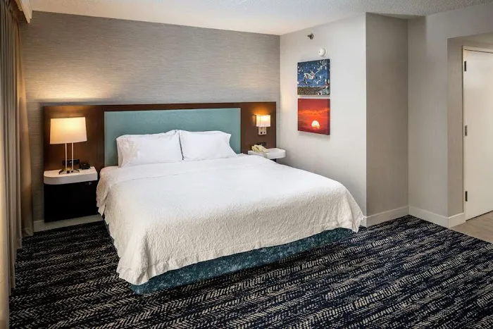 Hampton Inn Long Island/Commack Picture 1