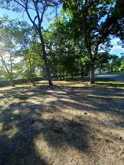 Benton Park Picture 5