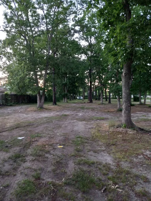 Benton Park Picture 7