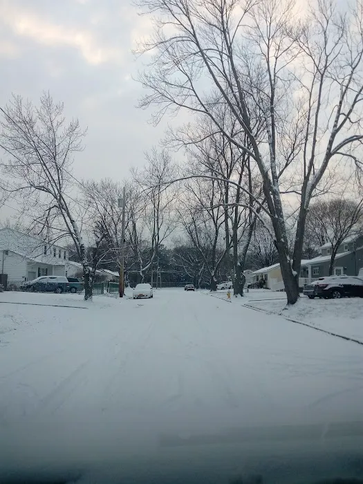 Clarissa Dr Park Picture 8