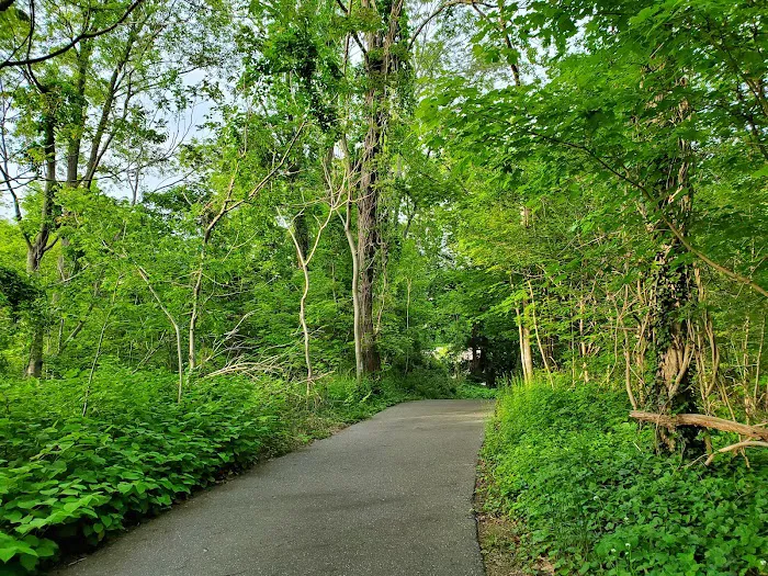 Raynor Beach County Park Picture 3